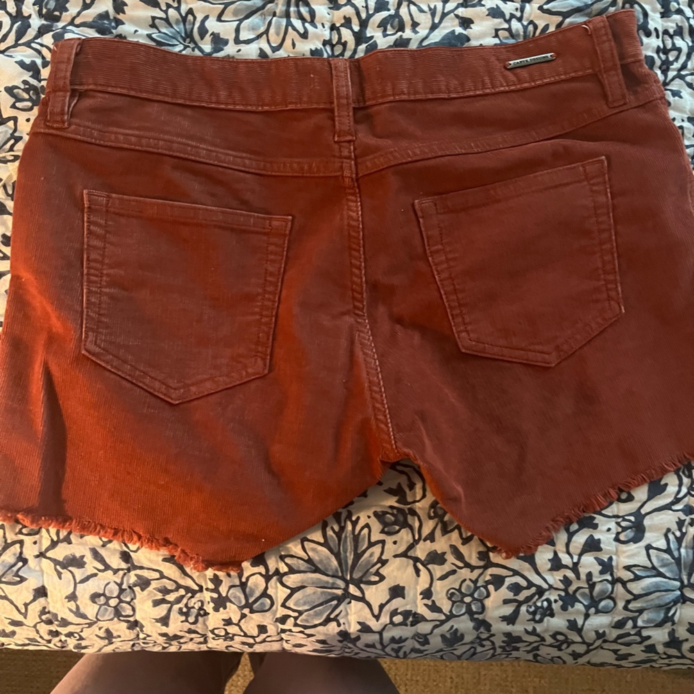 NWT Carve Designs Oahu Shorts 4” - Picture 5 of 5